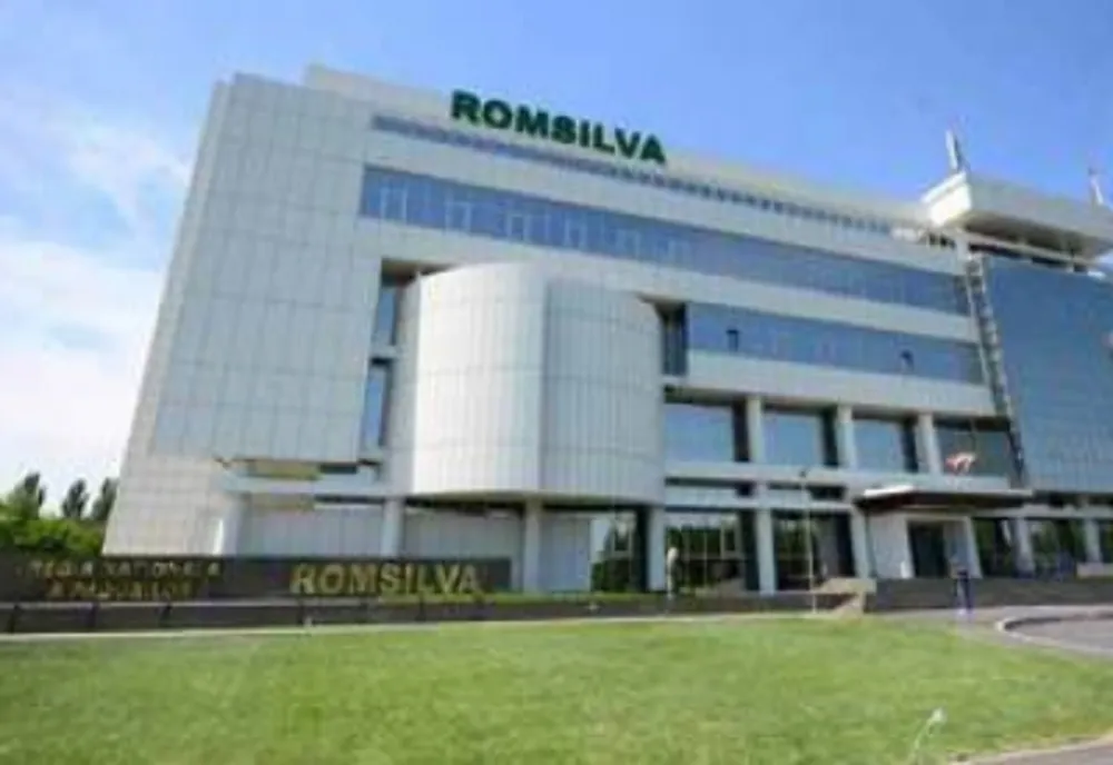 25 de milioane de puieți, plantați de Romsilva în campaniile de împăduriri de anul acesta