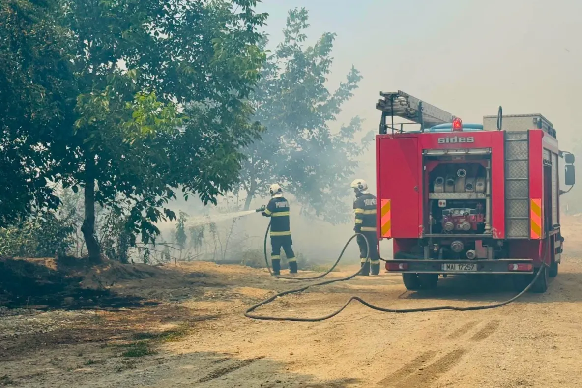 Zece incendii de vegetație în județul Brașov, într-o singură zi