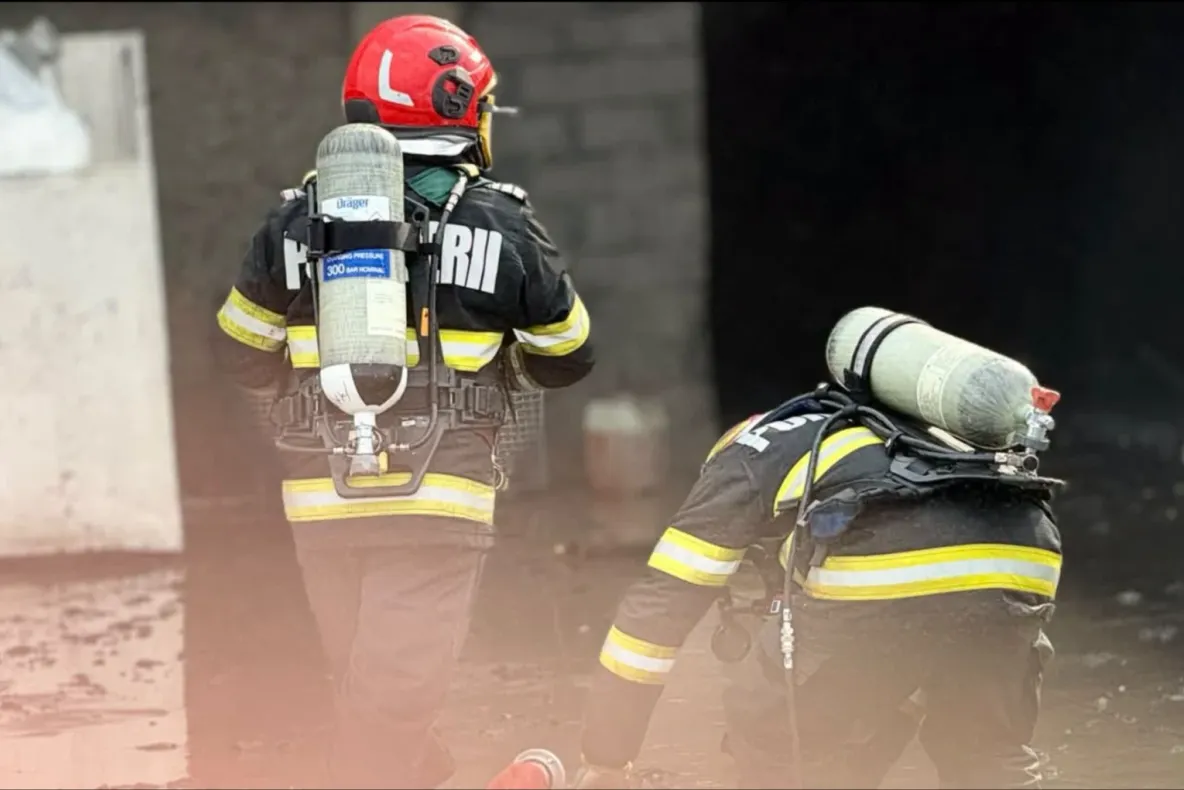 Incendiu devastator în Bistrița-Năsăud. O anexă și zeci de păsări, mistuite de flăcări