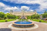 Teii din Iași se usucă prematur: lipsa spațiului și canicula pun în pericol arborii orașului
