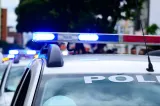 Bărbat arestat preventiv pentru omor în Dolj. Ar fi dat vina pe animalele din curte