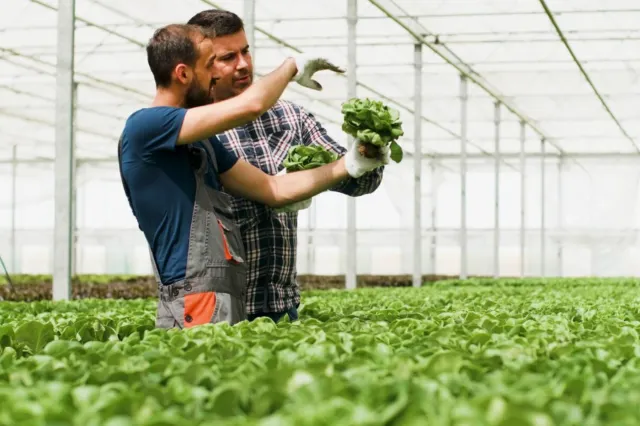 APIA începe plata subvenției pentru motorină: peste 150 de milioane de lei pentru fermieri