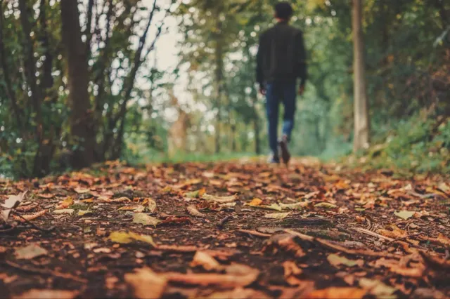 Prognoza meteo pentru următoarele patru săptămâni. Cum va fi vremea în România