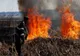 IGSU: TREI LOCALITĂȚI DIN MOLDOVA, AFECTATE DE INCENDII DE VEGETAȚIE