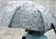 Prognoza meteo: Urmează două zile de coșmar. Ninsori și vânt puternic anunțate de ANM