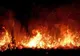 Incendiu de pădure de amploare în Spania