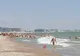 Alertă în Mamaia Nord! Apa mării s-a înnegrit, iar mirosul puternic i-a speriat pe turiști 