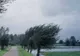 AVERTIZARE METEO: COD GALBEN DE VÂNT PUTERNIC ȘI VIJELII