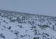 TEMPERATURILE SCĂZUTE AU PROVICAT DAUNE SEMNIFICATIVE. AGRICULTORII SE TEM DE UN ALT AN DEZASTRUOS
