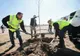 Aproape 200 de arbori, plantați într-o săptămână în Parcul Regele Mihai I din Capitală