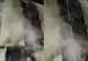 Incendiu masiv într-un bloc din Cluj-Napoca. Mai multe apartamente au fost afectate, zeci de persoane evacuate