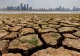 Criză alimentară la orizont. Cum ne va afecta „Super El Niño” în următorii ani