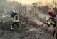 Incendiu de vegetație uscată în Alba Iulia: cinci autospeciale și 20 de pompieri la intervenție
